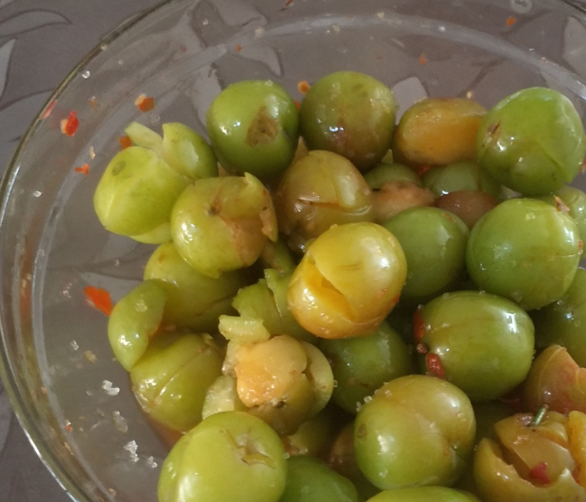 李子_果地_果子