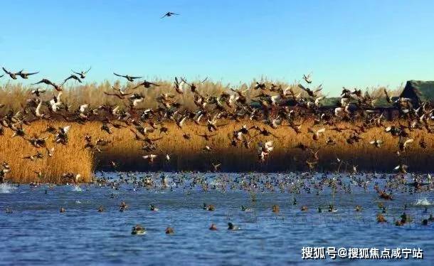 崇明路劲象屿岛上的院子放大招95折路劲象屿岛上的院子300w买联排别墅