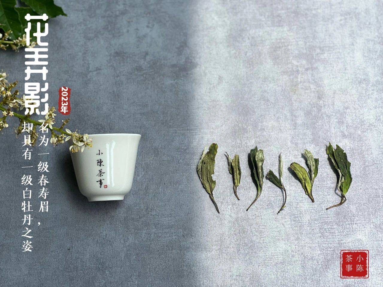 叶片_花香_新茶
