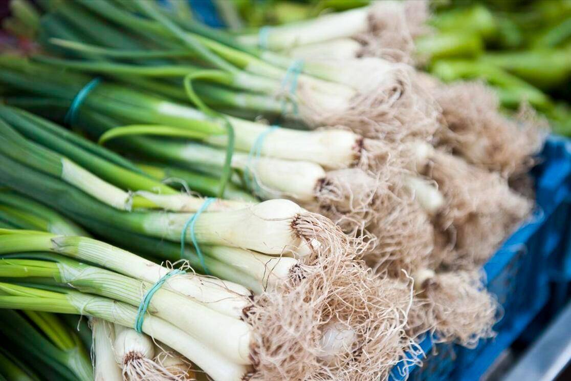 山东人为什么喜欢生吃大葱生吃大蒜这是我听过最合理的回答