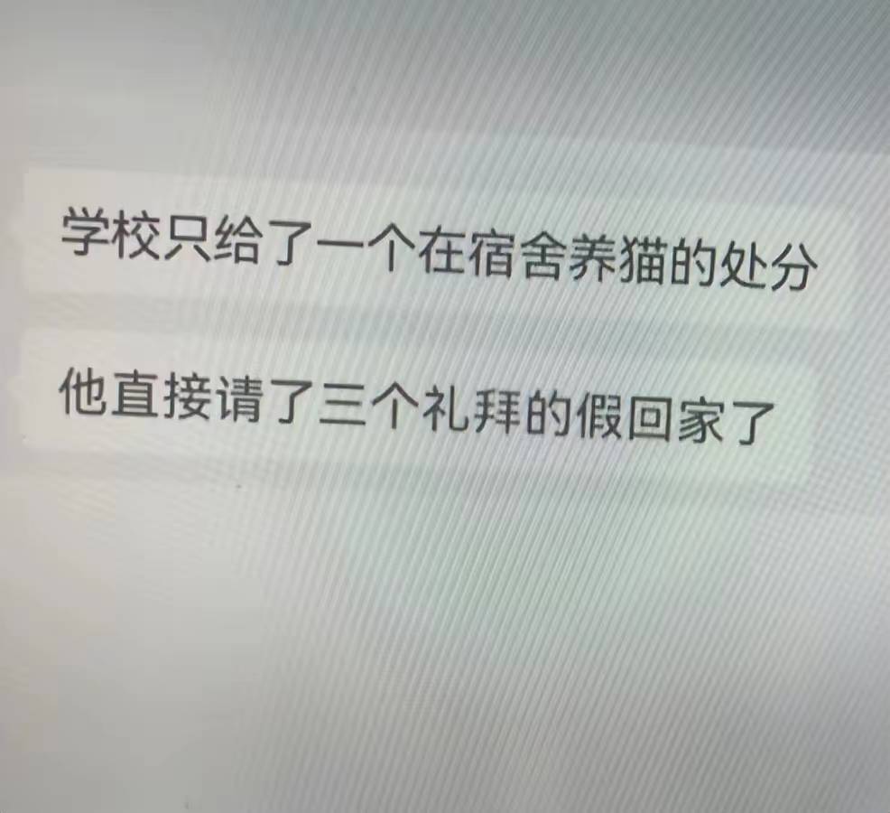 江西师大虐猫男生被开除更多黑料被扒包庇他的辅导员恐被牵连