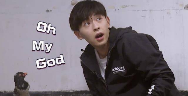 邓伦胆子有多小密室逃脱第二季要求很简单别把他放在最后