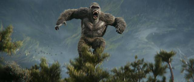 壁纸 大象 动物 640_270