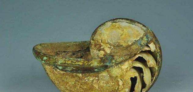 原创古墓中有只海螺能装下喝不完的酒专家却说原理简单