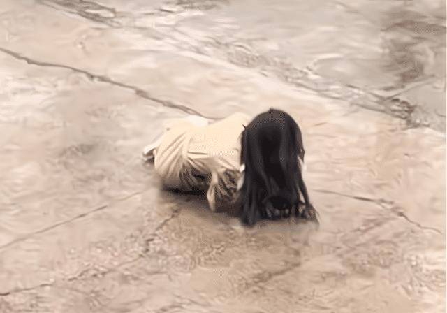 原创广州男子摔门而出妻子被推倒在地目击者她跟男同事聊过头了