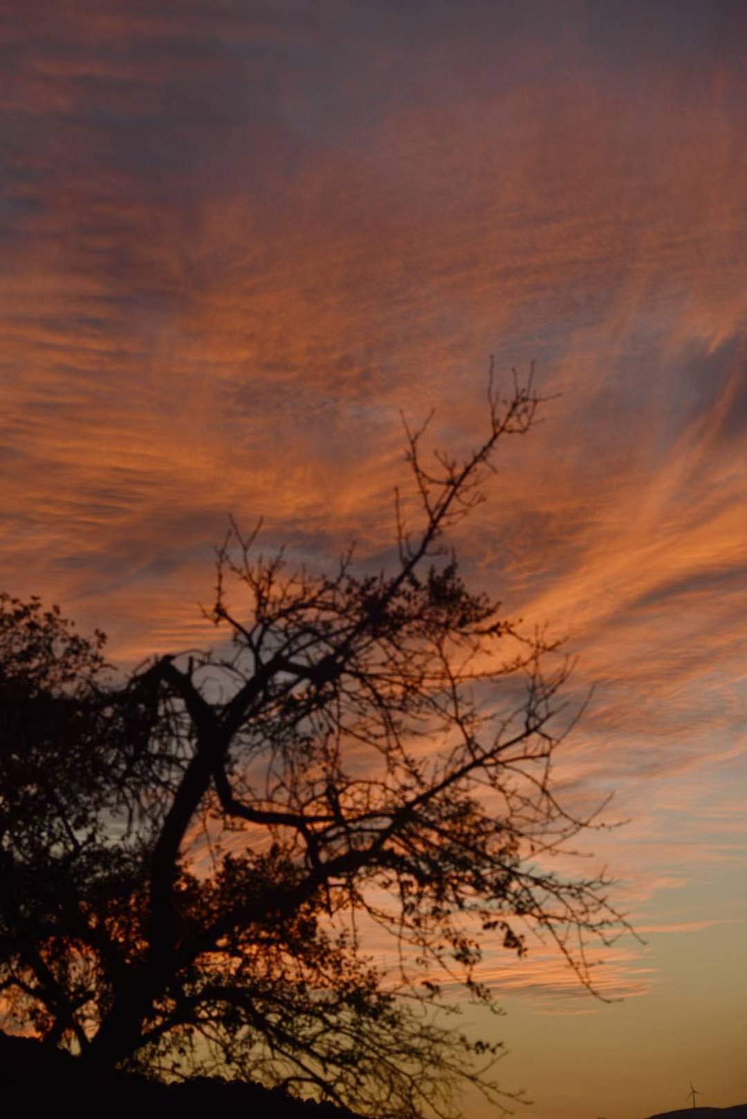 狱中杂记(2018年8月30日)