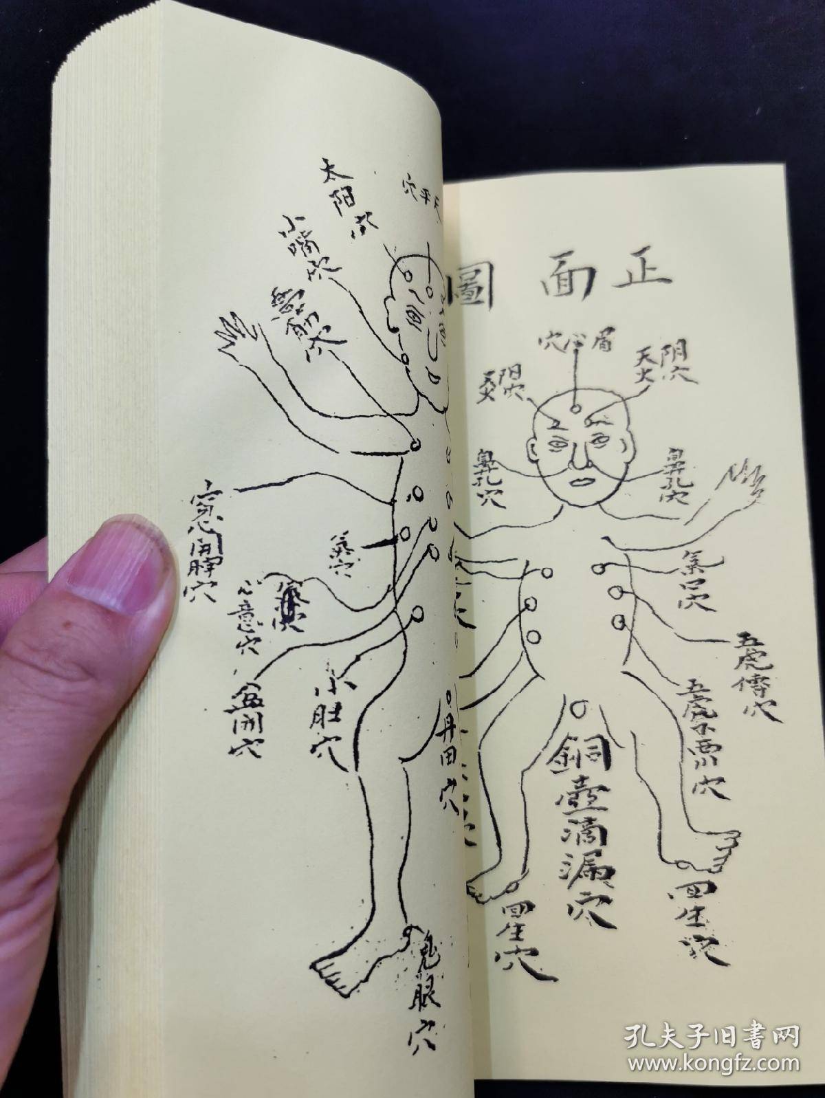 字门拳:练手余功全圖秘法,武功点穴跌打药薄,人物穴位精绘图