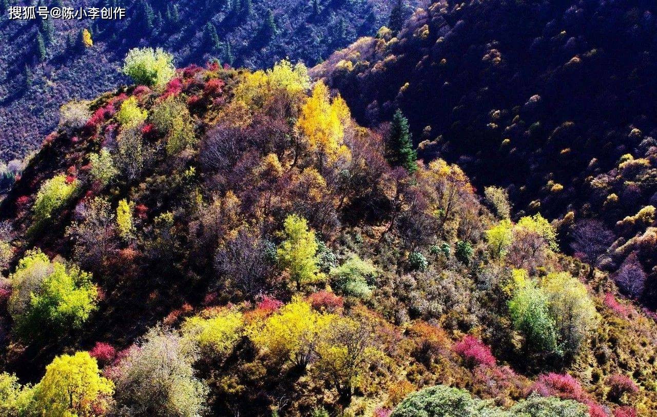 北山国家森林公园图片