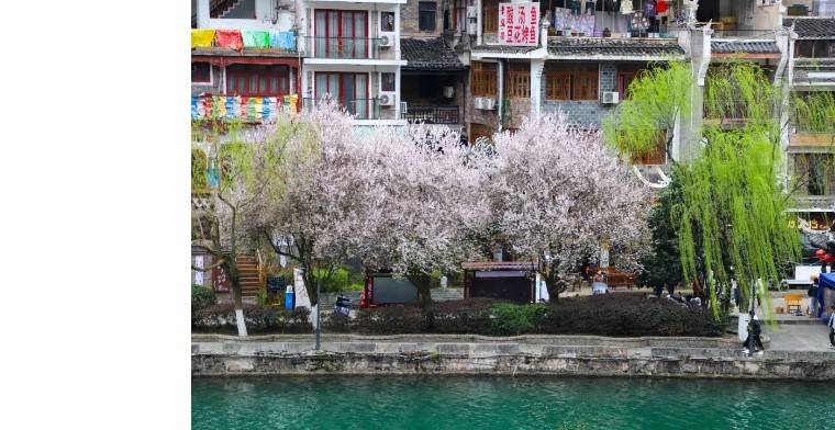 食罢贵州酸汤鱼夜游镇江古城参观歪门邪道和拐弯抹角