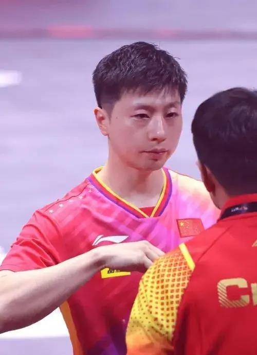 张继科_王楚钦_樊振东