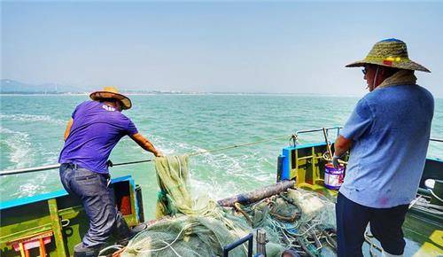 2682号案:33人出海,11人返港,一吨鱿鱼让22人无辜被杀_刘贵夺_渔船