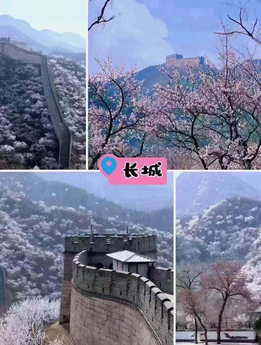 齐齐哈尔去北京旅游5天4晚需要多少钱北京旅游攻略及费用