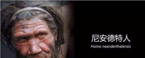 原创地球12万年前的人类统治者尼安德特人携带病毒遗传至现代