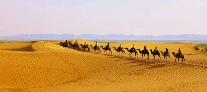 另一半是沙漠公路通向远方的蜿蜒曲折,来沙漠自驾游,感受不一样的宁夏