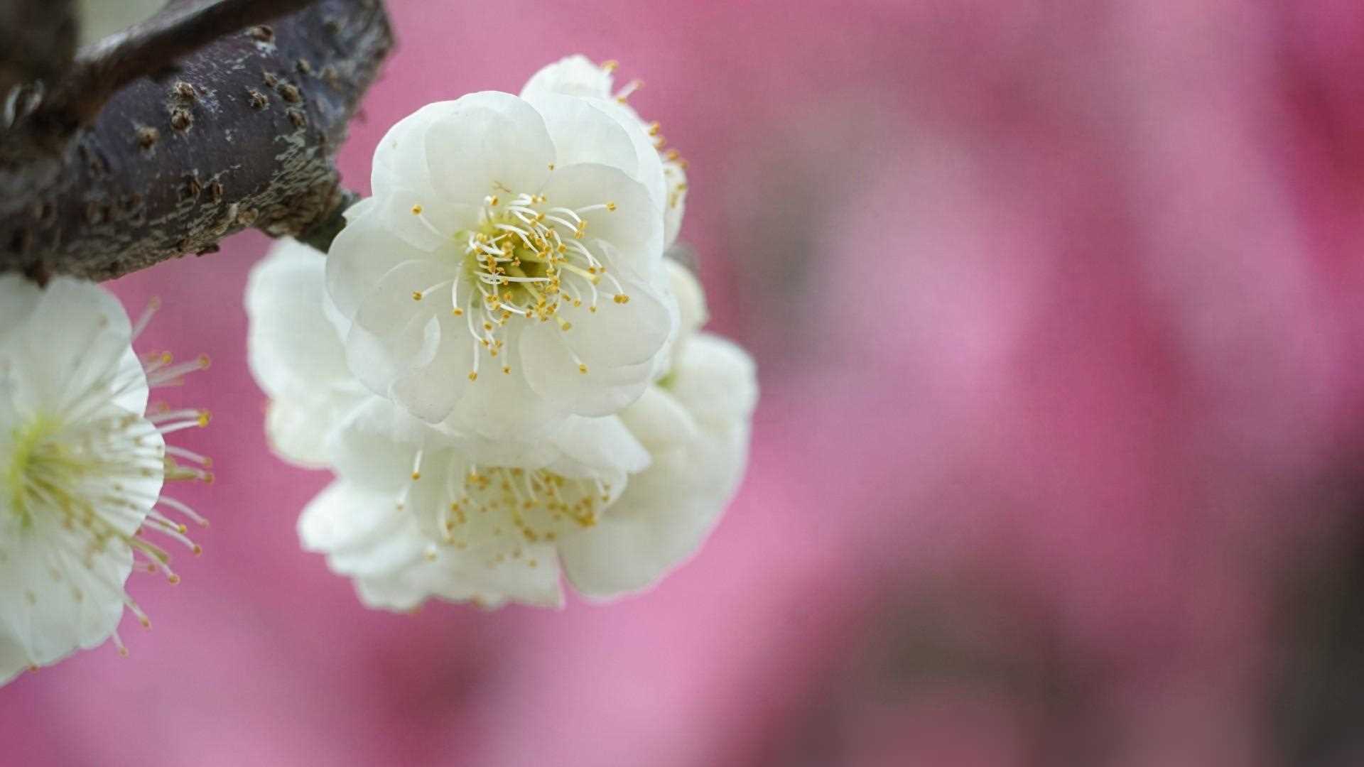 有一种单曲循环叫内心深处无尽的思念