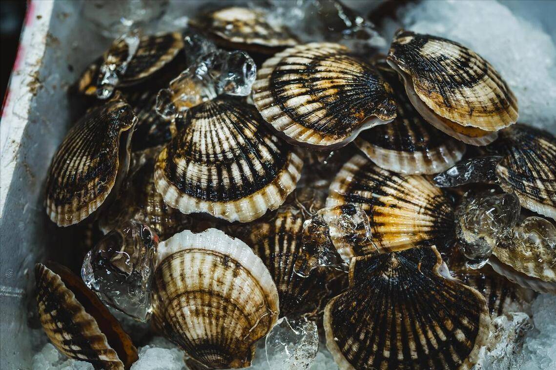 美食老饕推荐8大必吃榜,再不吃就封海了_鱿鱼_清蒸_扇贝