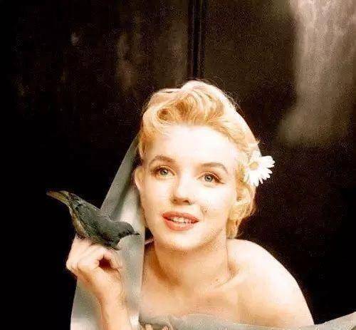 好莱坞黄金时代的女星她们的颜值惊艳了时光