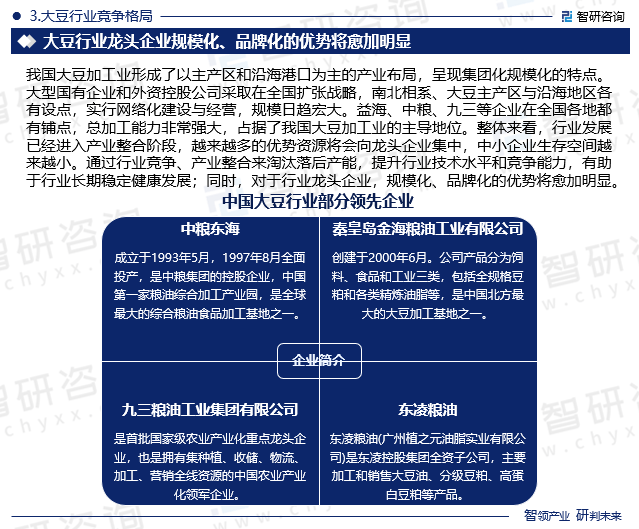 智研咨询重磅发布大豆生产项目可行性研究报告