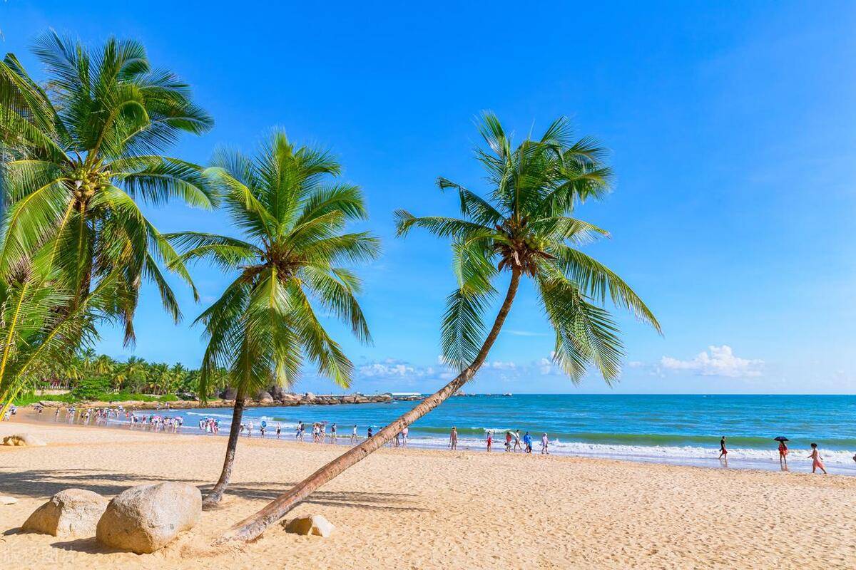 海南三亚五日游:金牌导游揭秘5天4晚纯玩团价格与旅行开销全攻略67