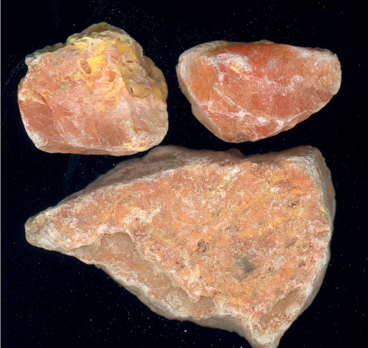 毒药之王鹤顶红与丹顶鹤有没有关系大部分人被骗了许多年