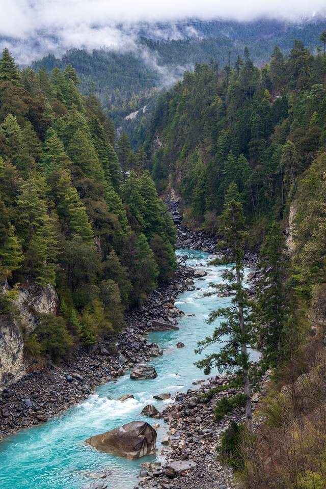 来古冰川 它的蓝冰从来不会让你失望_雅隆_波密_门票