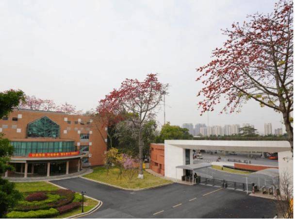 广东外语外贸大学成人高考报名24年招生简章_考试_专业_直播