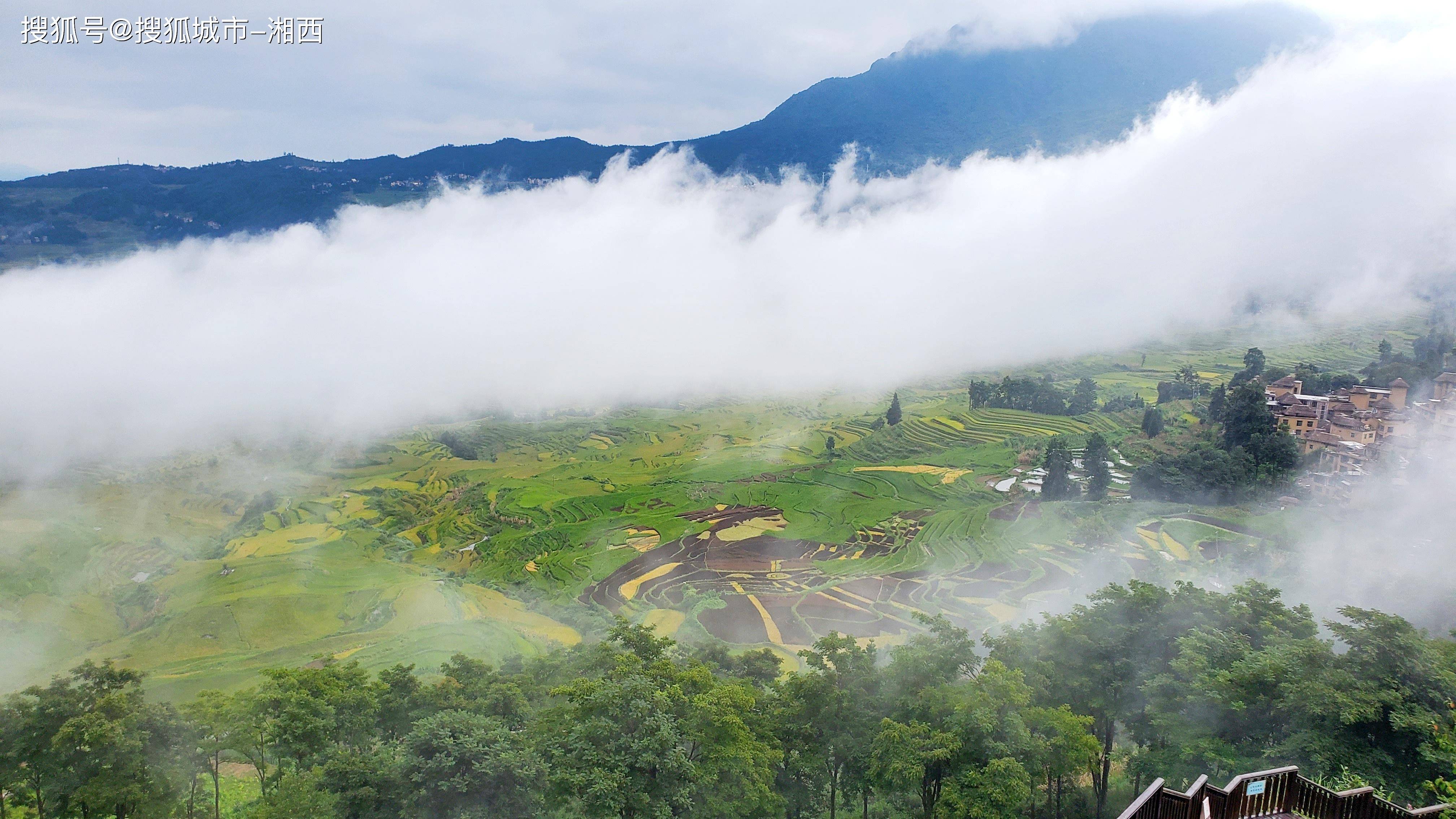 上,风湿冷冽,但却带来都市生活少有的松弛感,一张门票的时效是三天,在