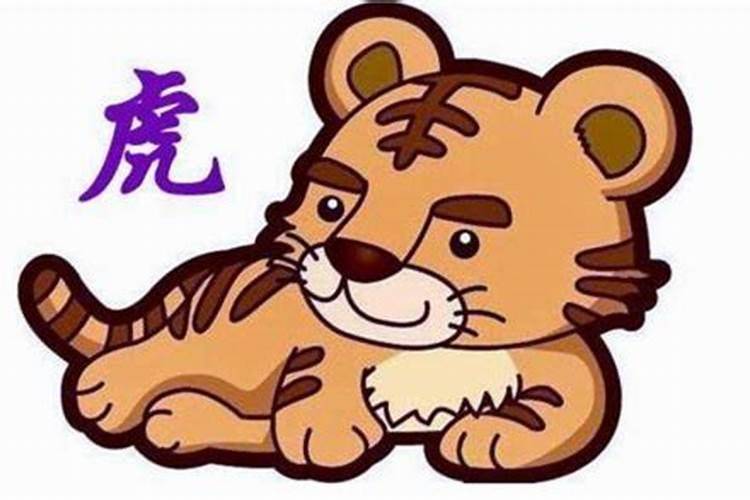 生肖属虎人春虎夏虎秋虎冬虎各自的运势如何