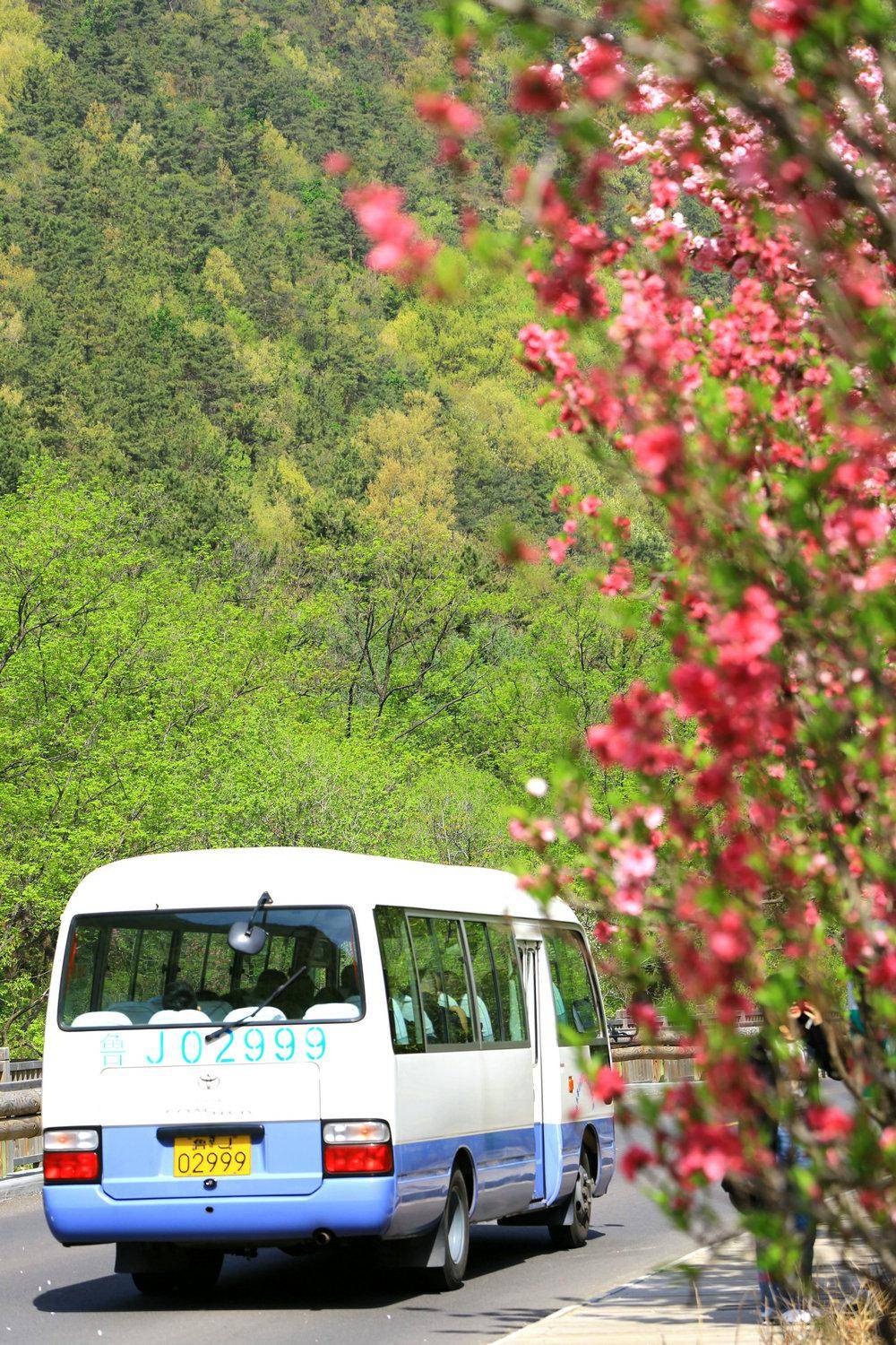 桃花峪泰山图片