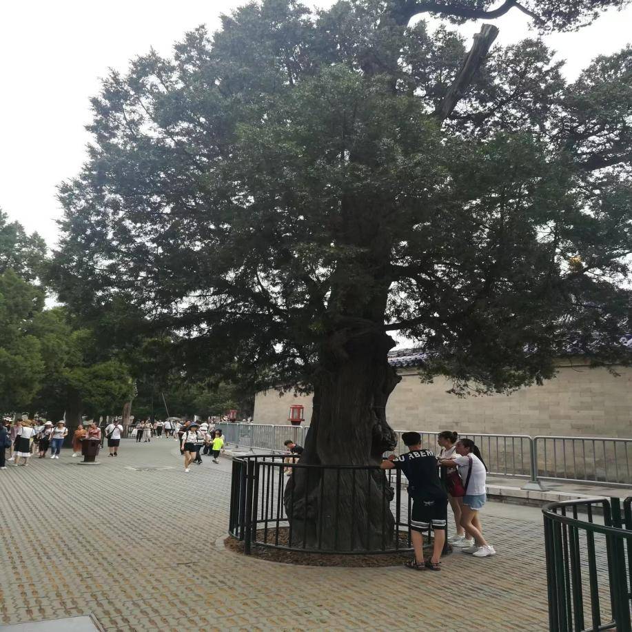 从阜新市到北京参团需要多少钱人均1000赶紧码住
