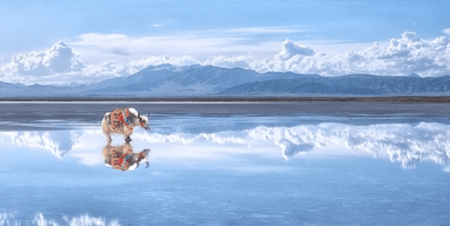 青海八日游详细经历内附注意事项景点花费一份超全的旅游
