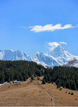 2024甘孜州热门酒店必住榜雪音阁庄园民宿