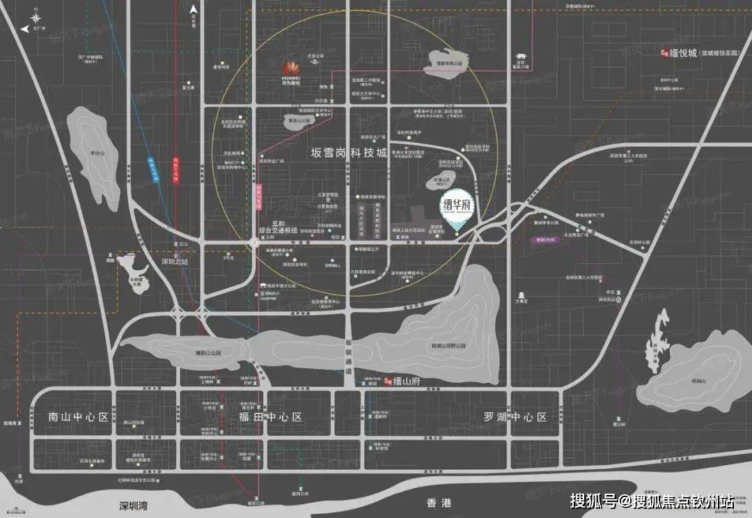 2021坂田南规划图图片