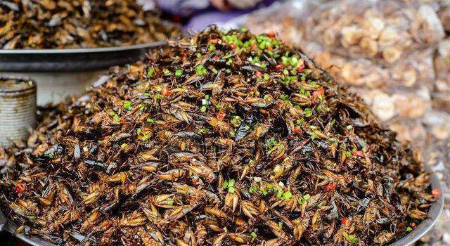 古代蝗灾频繁发生除了治蝗措施社会救灾制度更加重要