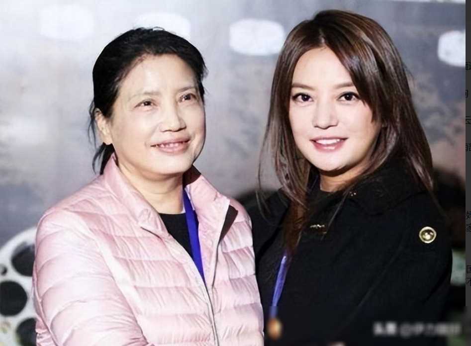 魏启颖个人困境:离婚风波,子女关系及丈夫过世_赵薇_家庭_家人