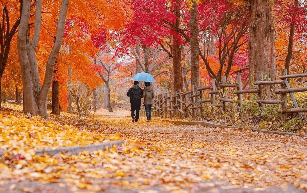 搀扶母亲的图片图片