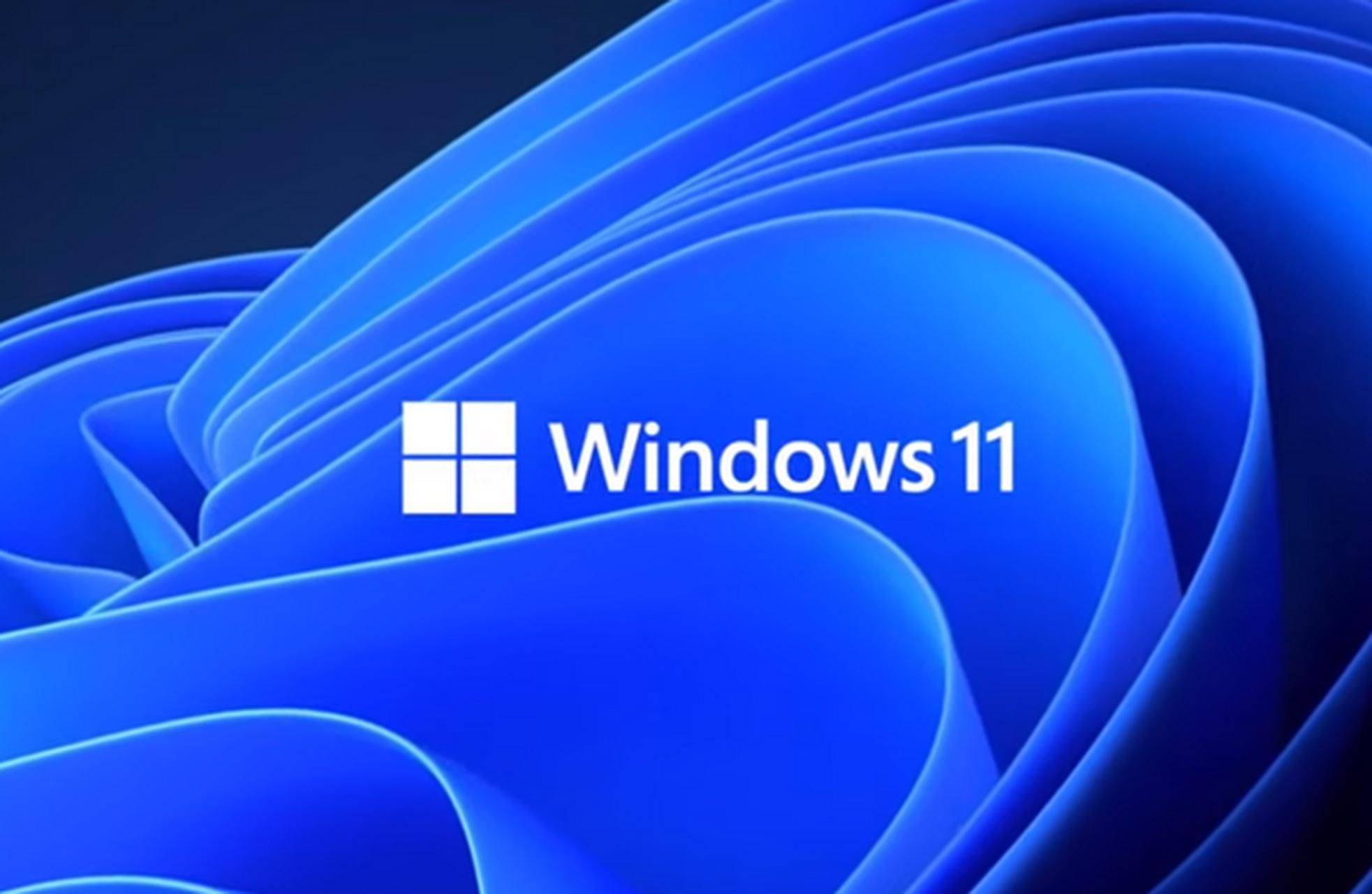 首先要是windows 11系统,系统版本是22h2,如果你是win10用户,可以不用