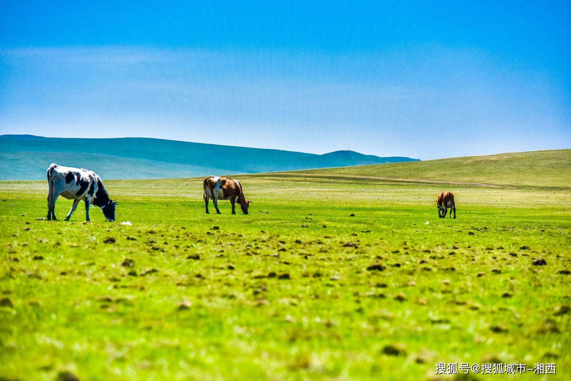 内蒙敕勒川草原四日游路线推荐,银肯响沙湾纯玩4天一个人多少钱