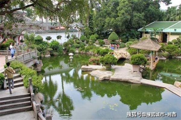 去厦门旅游四天三晚怎么安排,去厦门旅游自由行还是报团好