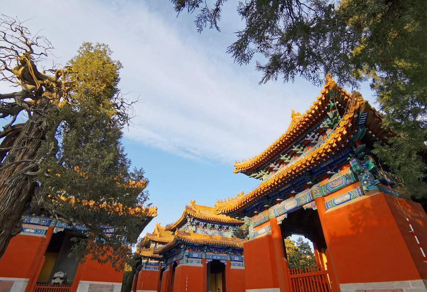 第四天:早上去北京动物园,探索世界上大的圆明园.