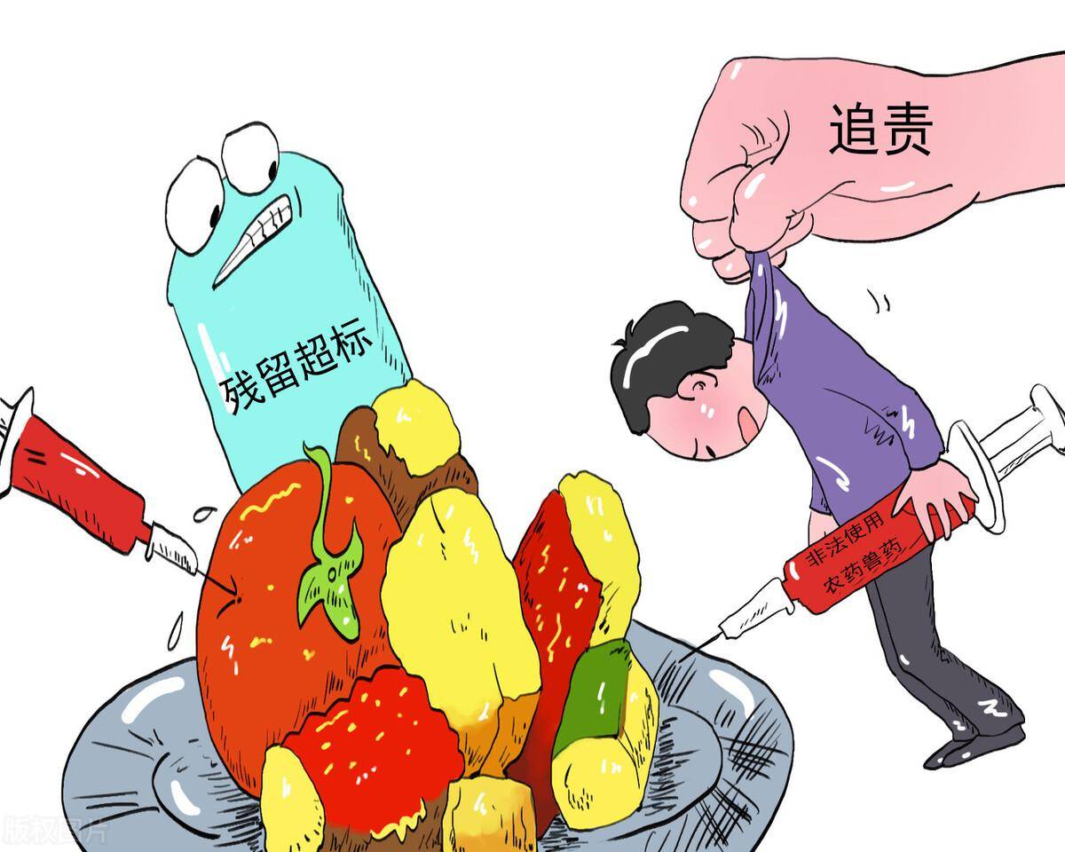 最新快速养猪技术,中国养猪低成本养猪法_资源_饲料_短缺问题