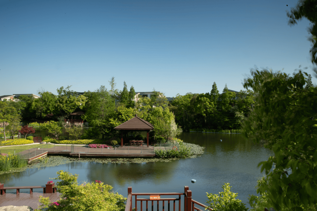 太仓越秀向东岛周边配套,学校,交通,医疗,环境等-越秀向东岛价格