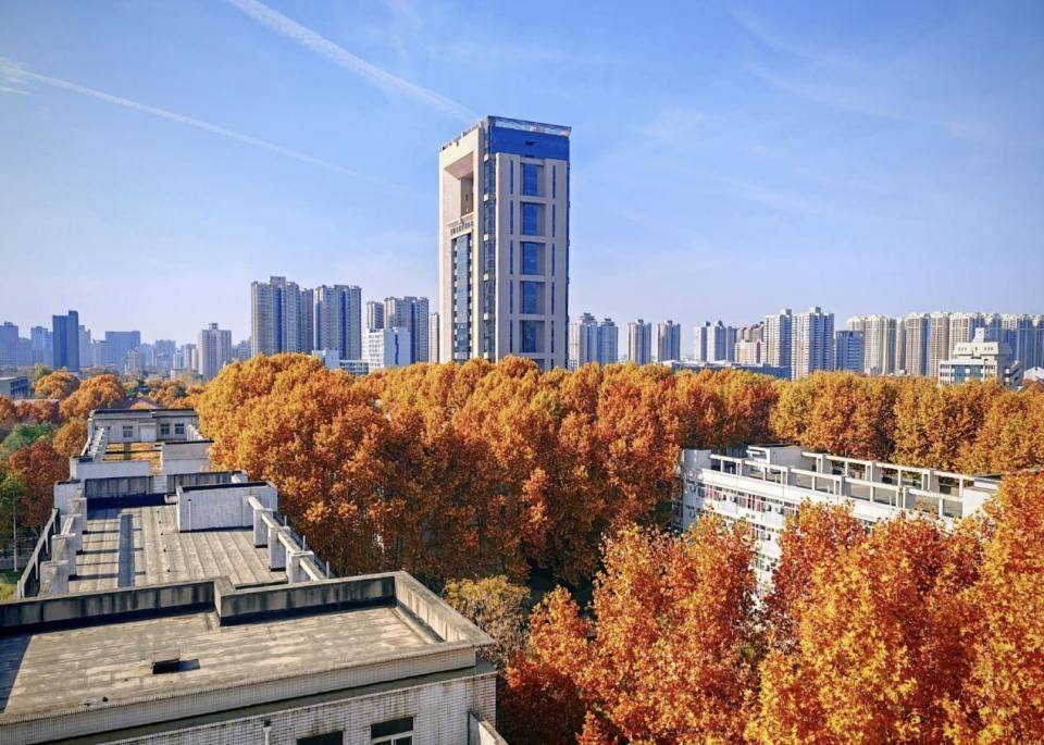 西安交通大学王牌专业是什么?相关学科三年蝉联世界第一!