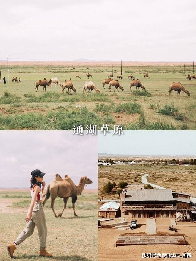 宁夏旅游4天3晚路线安排, 宁夏旅游详细攻略记录,亲身经验分享