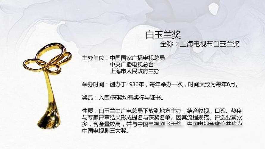 入围白玉兰奖的电视剧名单预测:十部剧获好评,哪部更值得期待
