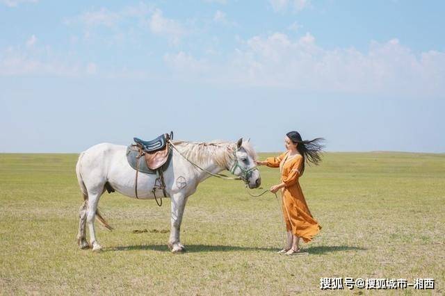内蒙古三天二夜自助游多少钱,内蒙古旅游团3日游费用多少_草原_门票