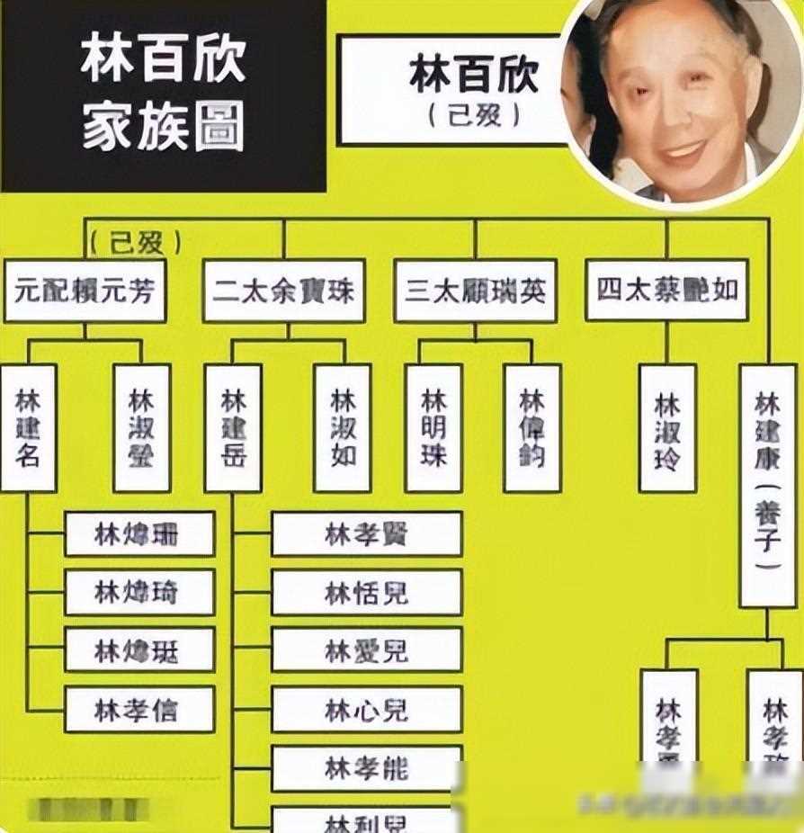 百亿富豪独宠二太太,三房无所获_林百欣_遗产_家族