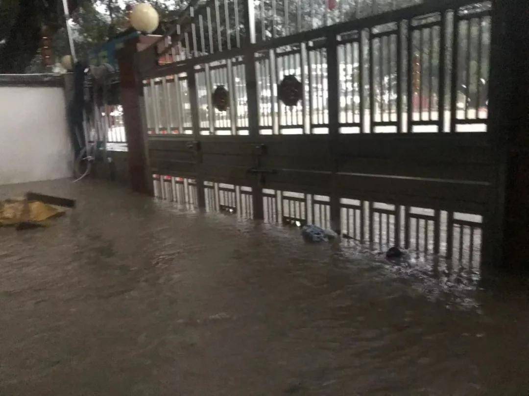 霹雳行动,找回暴雨中失联的镇