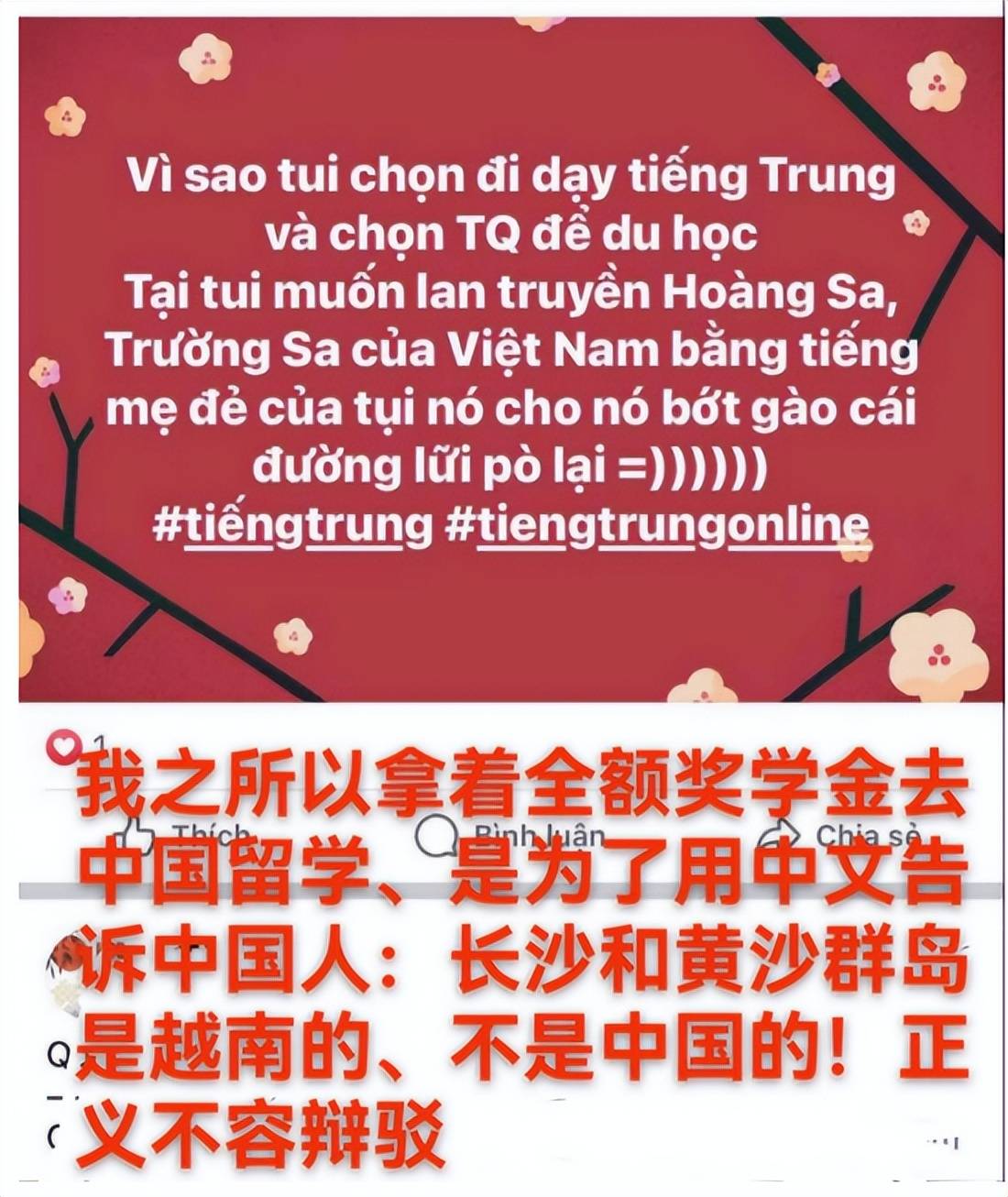 越南女留学生称拿中国全额奖学金,就是为了用汉语宣示主权