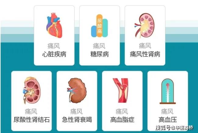 精准防控 "痛风",畅享"健康"生活_尿酸_代谢_药物